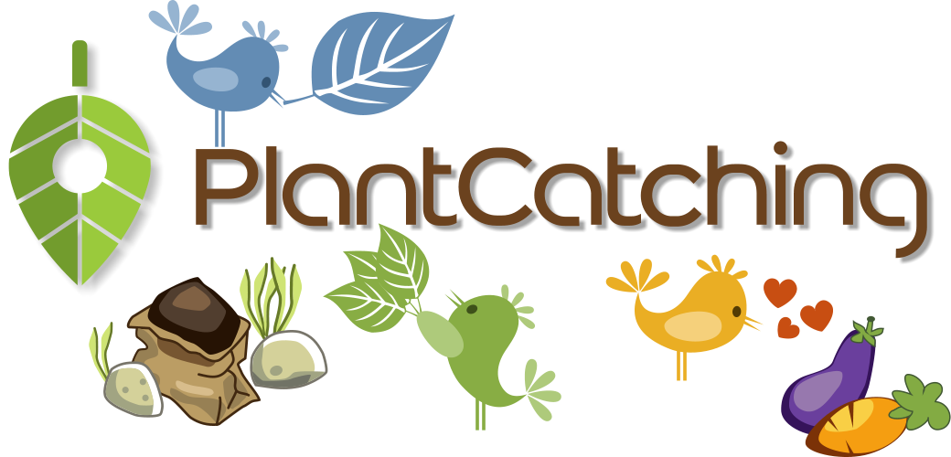 Connaissez-vous PlantCatching ?
