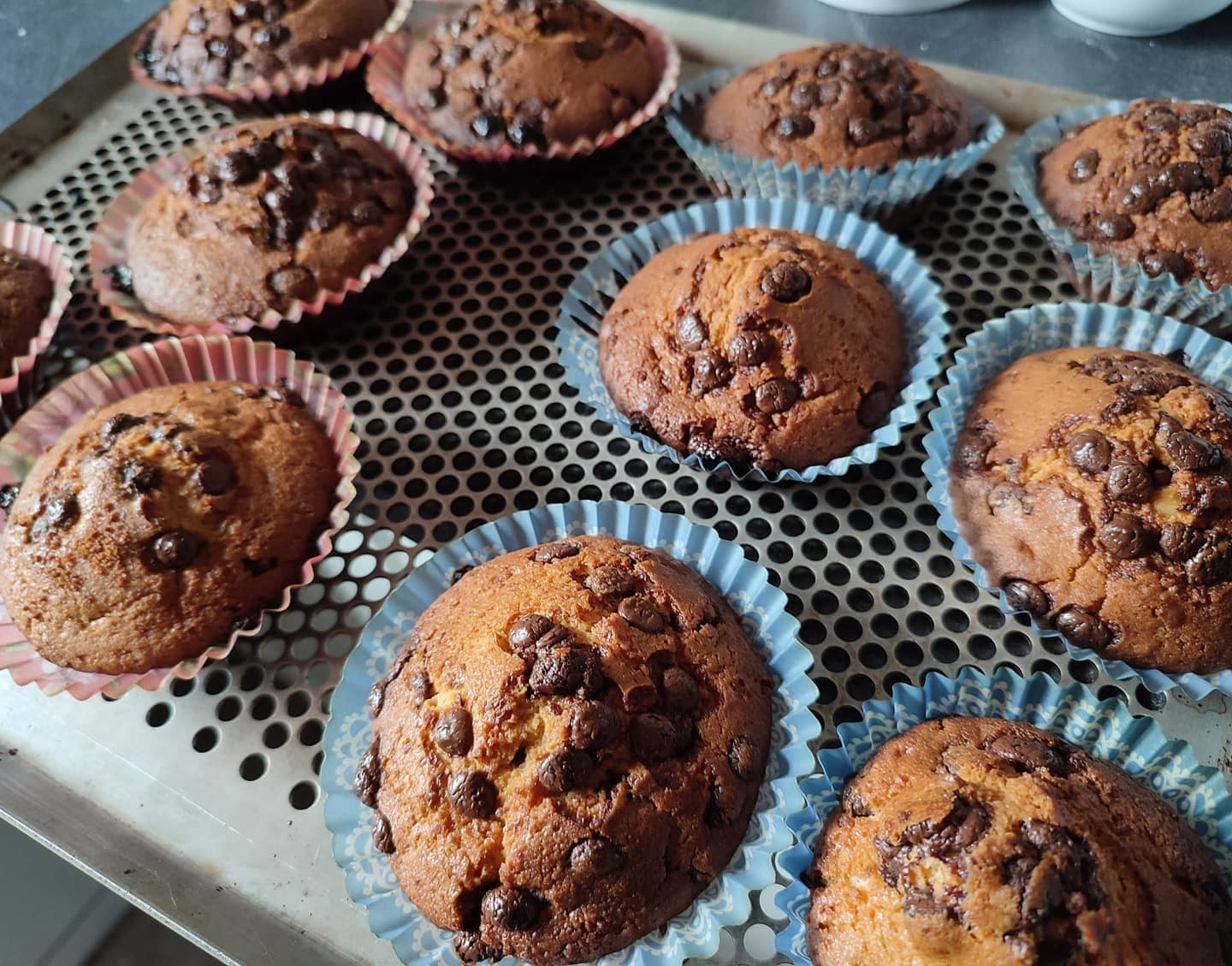 Muffins aux pépites de chocolat d’Eva